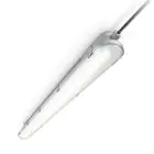 Philips LED Waterproof Batten CoreLine WT120C G2 42.9W 6000lm - 840 Cool White | 150cm 